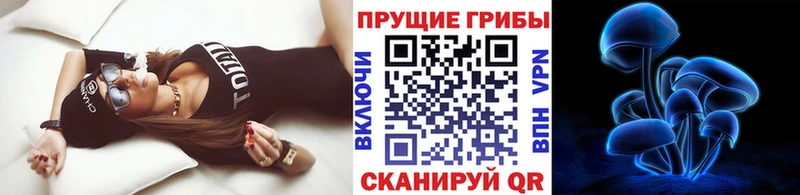 кракен рабочий сайт  Старая Купавна  Псилоцибиновые грибы мухоморы 